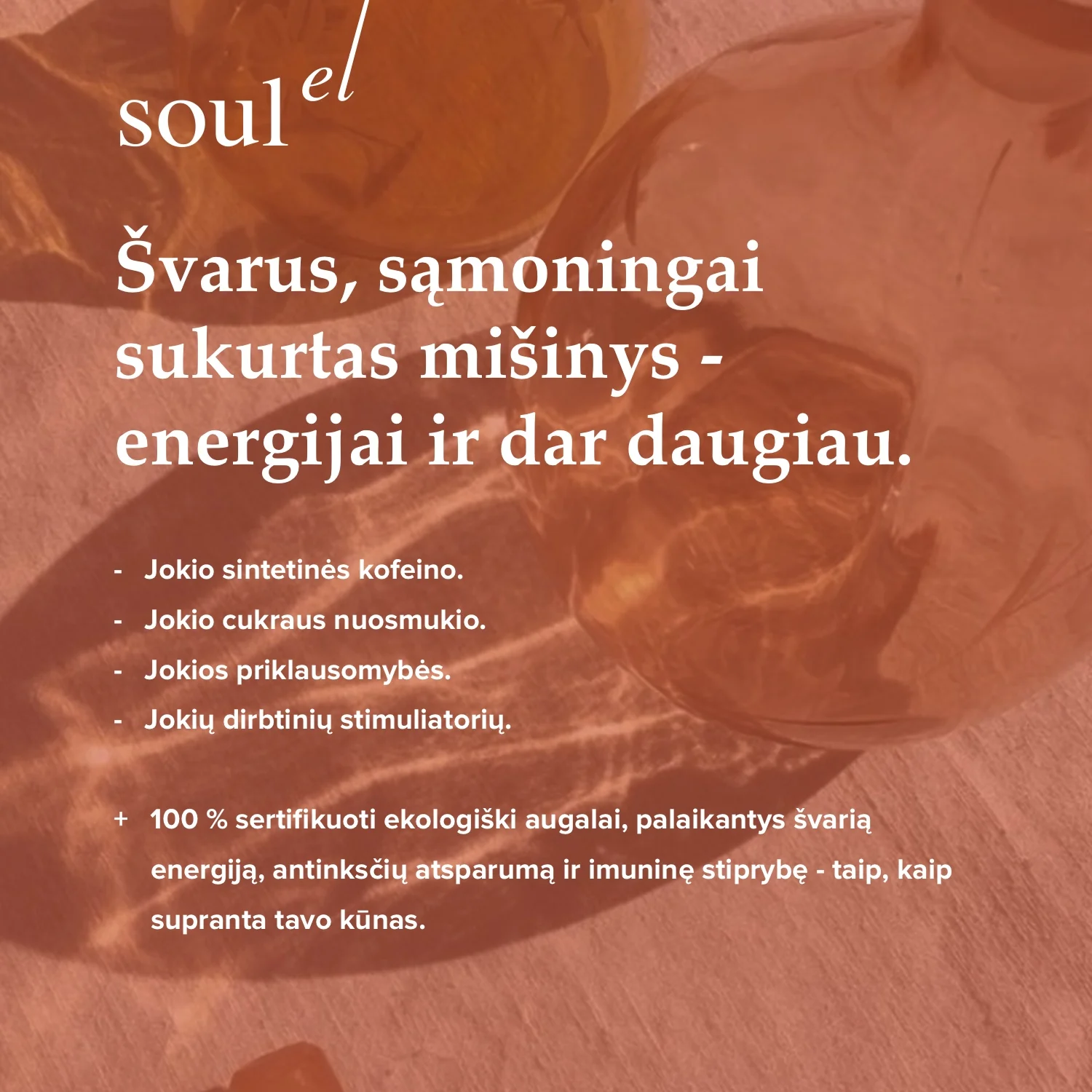 SOULEL EKO Booster, 100 g