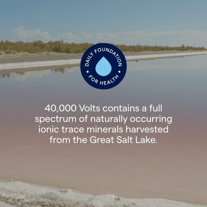 TRACE MINERALS ConcenTrace® 40,000 Volts - didelės koncentracijos elektrolitų kompleksas SU MAGNIU IR KALIU 237 ML