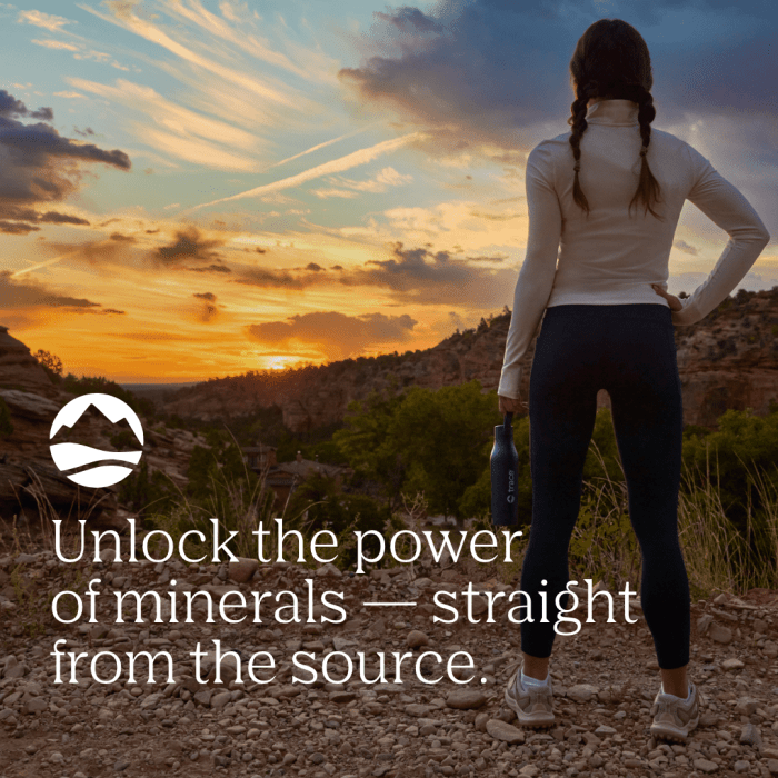 TRACE MINERALS POWER PACK Imunitetui ir energijai elektrolitai su vitaminu C  N30