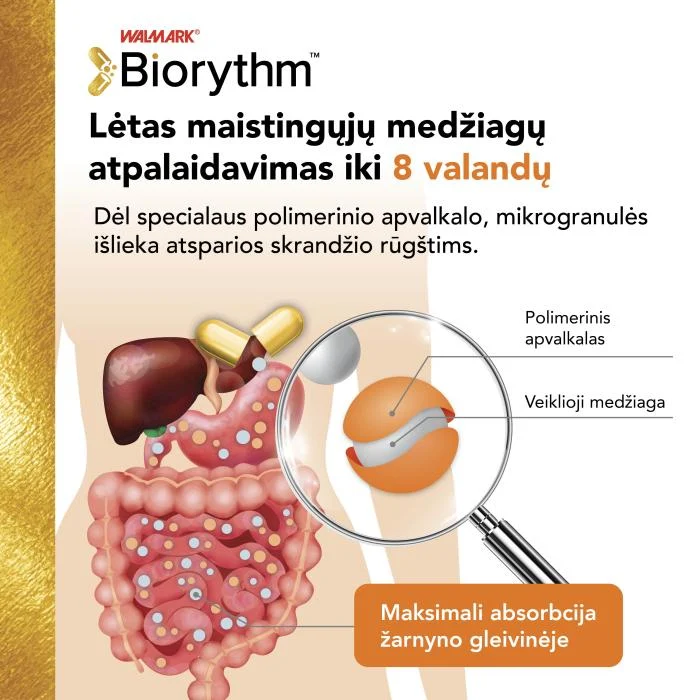 BIORYTHM magnis B6 kapsulės, N30