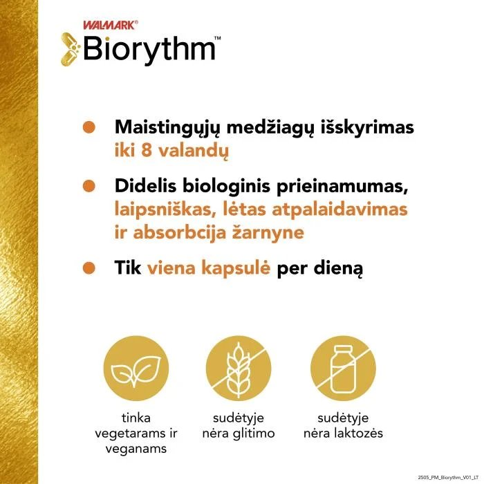 BIORYTHM magnis B6 kapsulės, N30