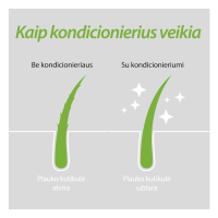 PLANTUR 39 dažytų ir pažeistų plaukų kondicionierius su kofeinu 150 ml