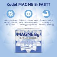 MAGNE B6 Fast vienadoziai paketėliai N20