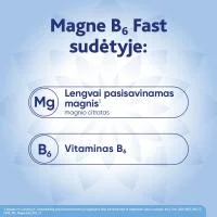 MAGNE B6 Fast vienadoziai paketėliai N20