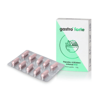 GastroForte kapsulės N10
