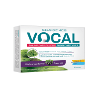 Vocal juodųjų serbentų skonio pastilės N24