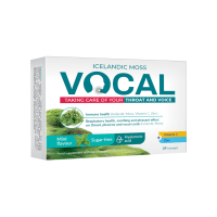 Vocal su hialuronu, mėtų skonio pastilės N24