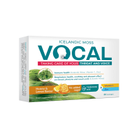 Vocal medaus ir citrinų skonio pastilės N24  