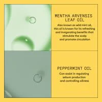 NIOXIN Pro Clinical SYS1 SCALP & HAIR CONDITIONER - Galvos odos ir plaukų kondicionierius 300 ml