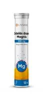 LIVSANE Didelės dozės Magnis 500 mg N12
