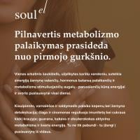 SOULEL EKO Dirt, 100 g