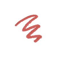 PAESE The Kiss Lips lūpų pieštukas, spalva 02 Nuogas Koralas, 0,3 g