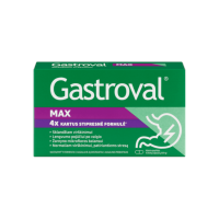 GASTROVAL® Max kapsulės, N15