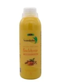 MĖMELIO FERMENTUOTAS Bactohouse ciberžolės skonio, 1 L