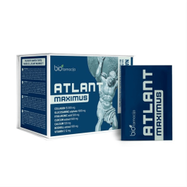 ATLANT MAXIMUS milteliai, N28