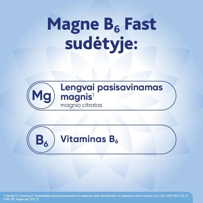 MAGNE B6 Fast vienadoziai paketėliai N20