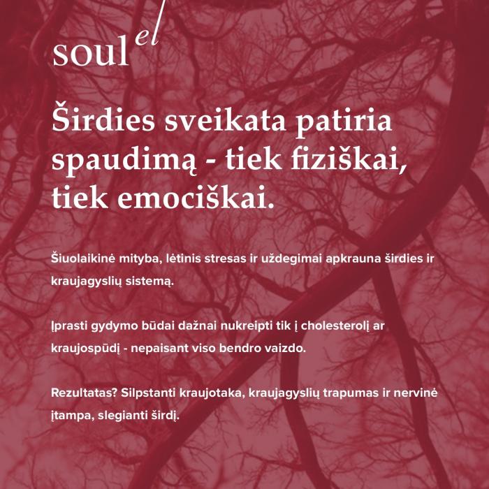 SOULEL EKO Heart, 100 g