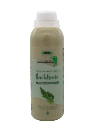 MĖMELIO FERMENTUOTAS Bactohouse spirulinos skonio, 1 L