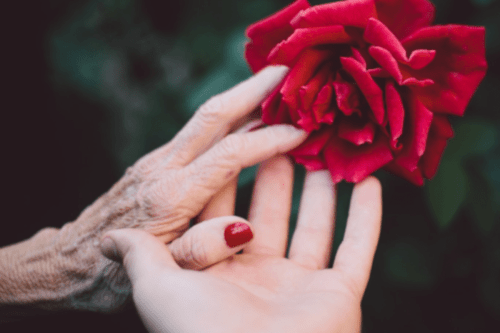 Menopauzė: ar jau metas naujam etapui?
