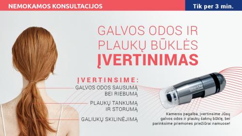 Galvos odos ir plauko būklės įvertinimas