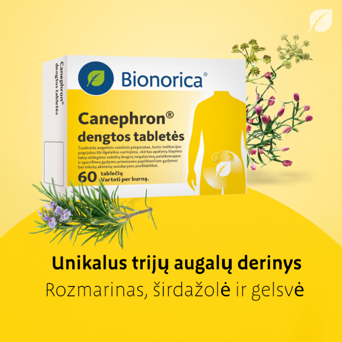 Canephron dengtos tabletės N60