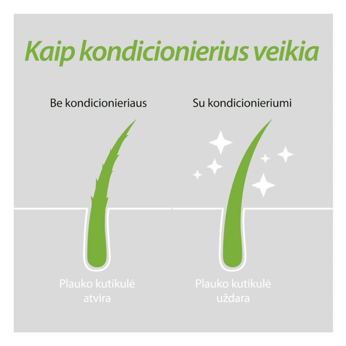 PLANTUR 39 dažytų ir pažeistų plaukų kondicionierius su kofeinu 150 ml