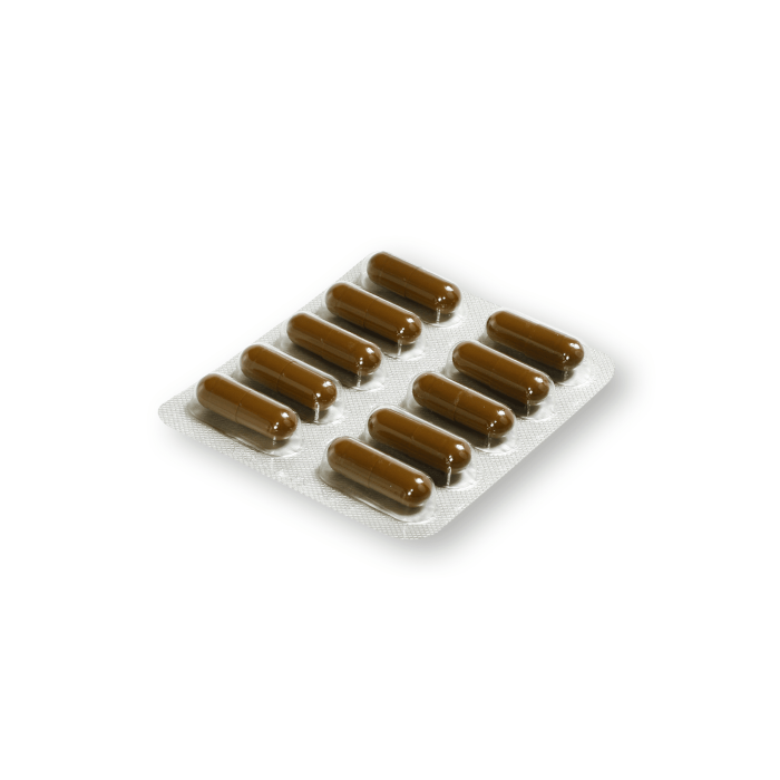 Essentiale forte N 300 mg kietosios kapsulės N30