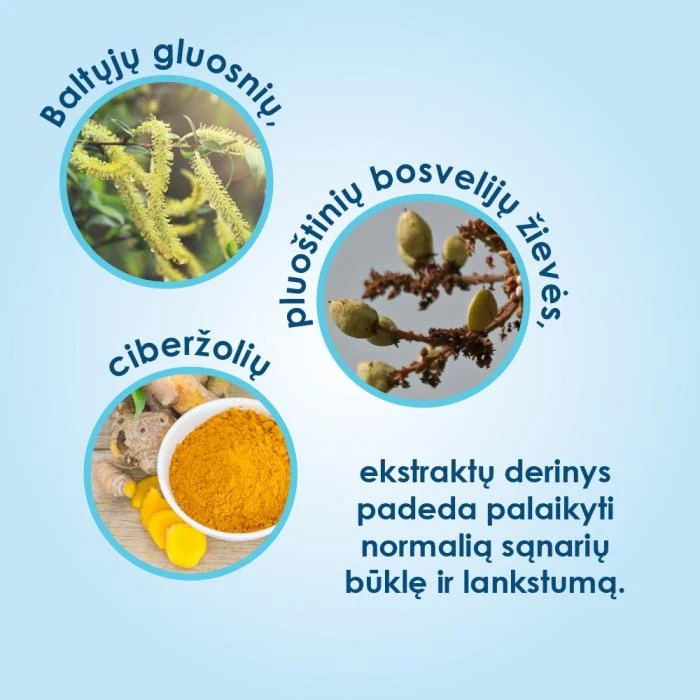 Proenzi Arthrostop Intensive tabletės N30