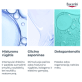 EUCERIN Hyaluron Filler 3x Effect stangrinamasis naktinis veido kremas su hialurono rūgštimi, 50 ml