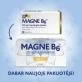 MAGNE B6 470 mg/5 mg dengtos tabletės N60 