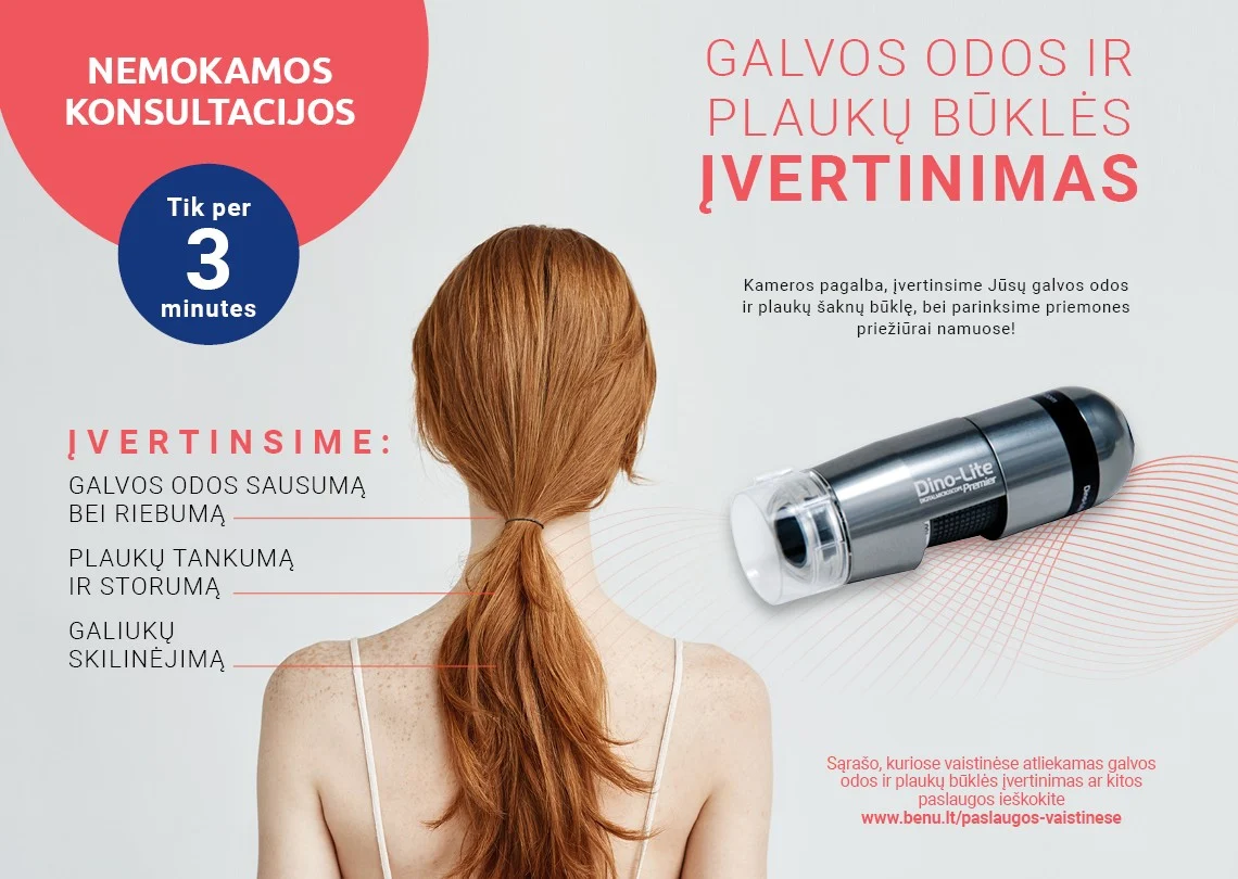 Galvos odos ir plauko būklės įvertinimas