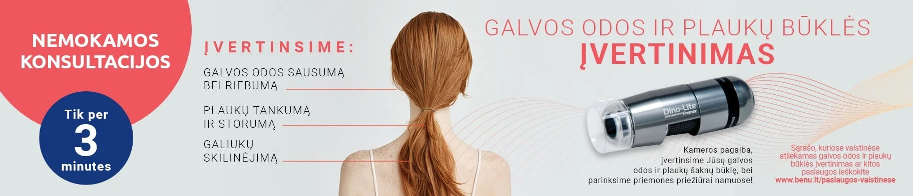 Galvos odos ir plauko būklės įvertinimas